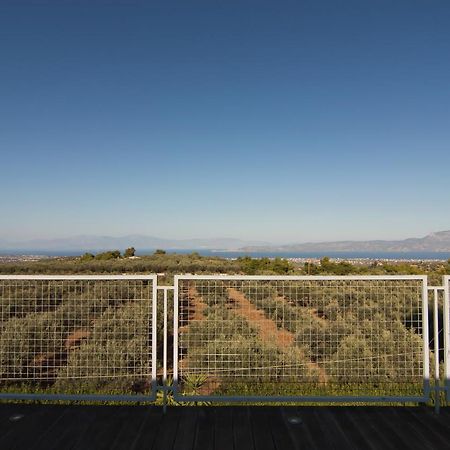 Country Villa Peloponnese With Tennis Court And Pool Zevgolateíon Buitenkant foto